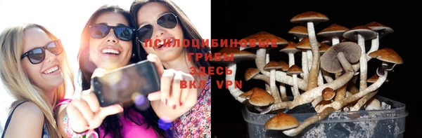 а пвп мука Наволоки
