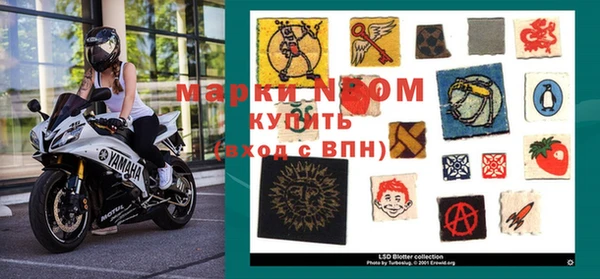 PSILOCYBIN Навашино