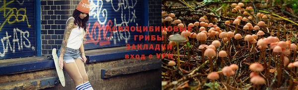 а пвп мука Наволоки